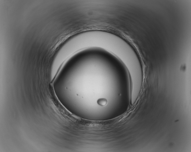 X0000115530154200911271354