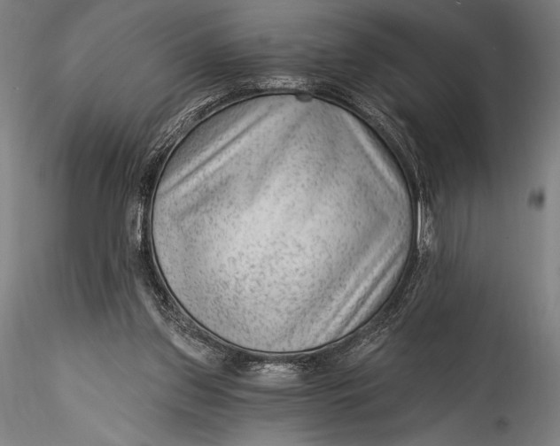 X0000115530157200911271354