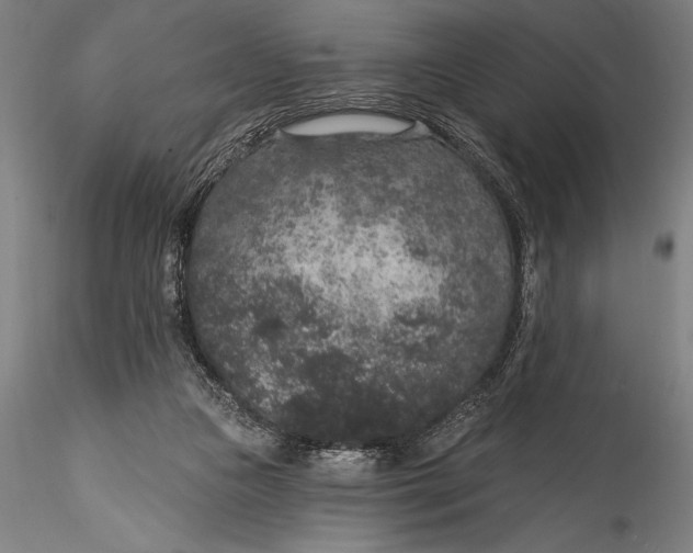 X0000115530161200911271354