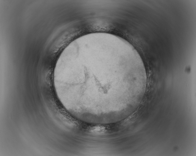 X0000115530162200911271355