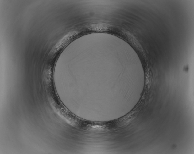 X0000115530163200911271355