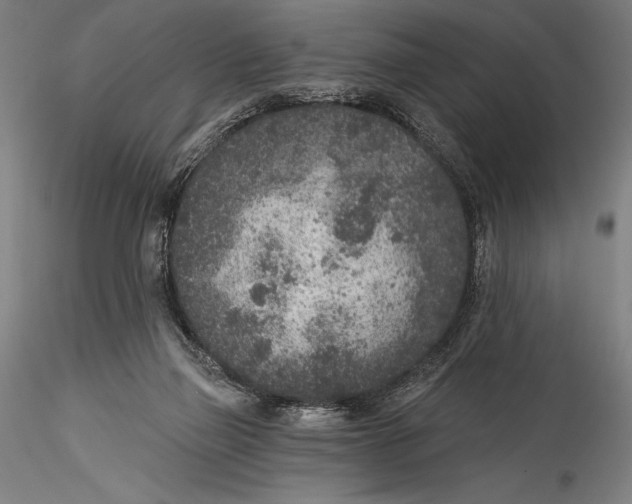 X0000115530165200911271355