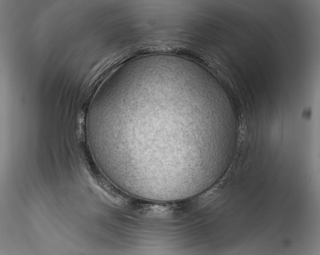 X0000115530166200911271355