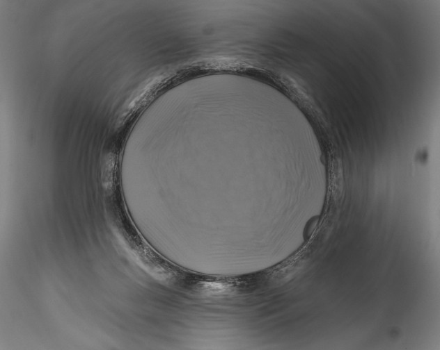 X0000115530167200911271355