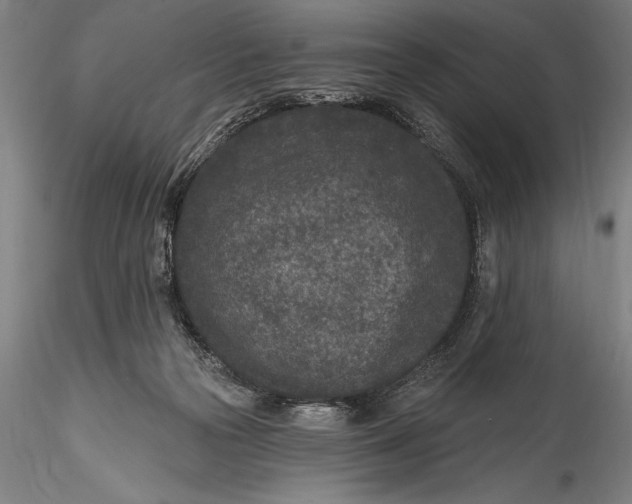 X0000115530169200911271355