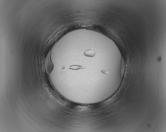 X0000115530170200911271355