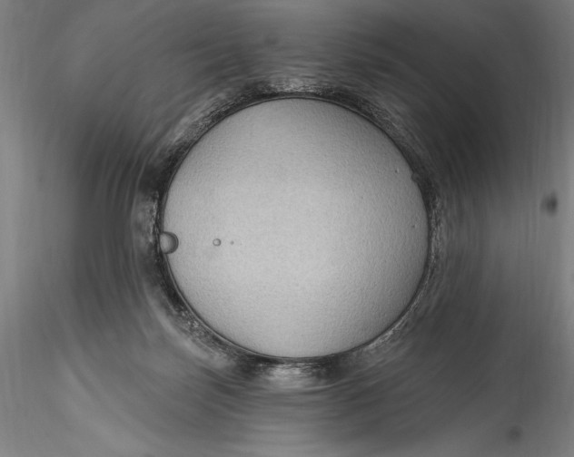 X0000115530171200911271355