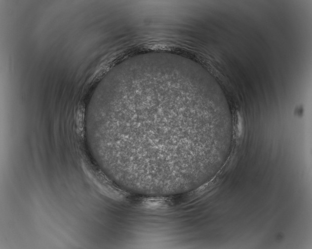 X0000115530175200911271355