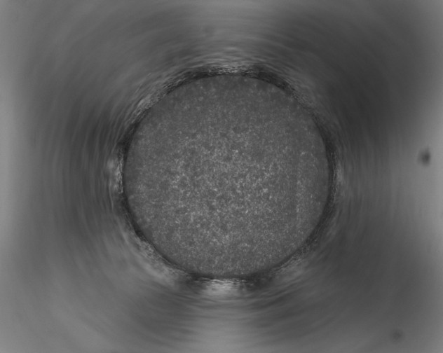 X0000115530177200911271355