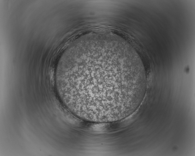 X0000115530178200911271355