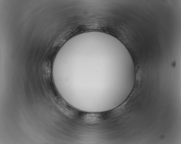 X0000115530179200911271355