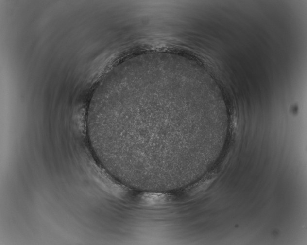 X0000115530181200911271355