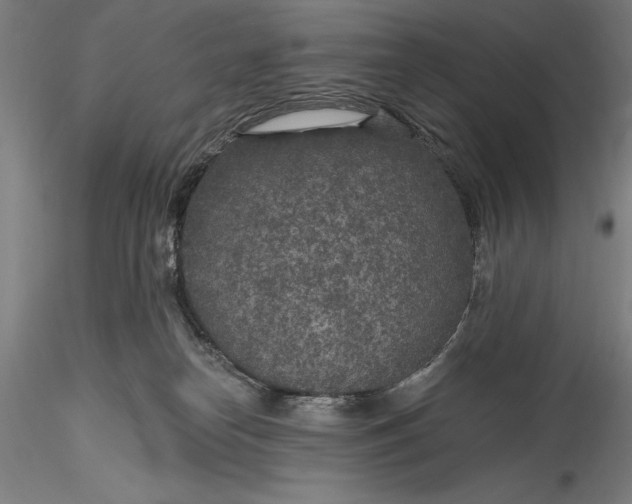 X0000115530182200911271355