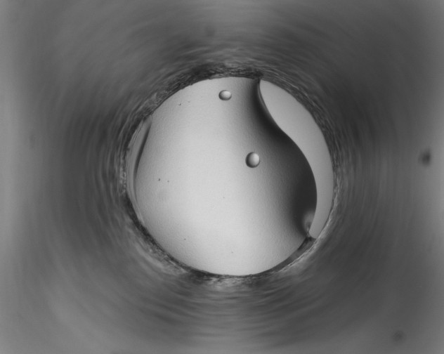 X0000115530186200911271355