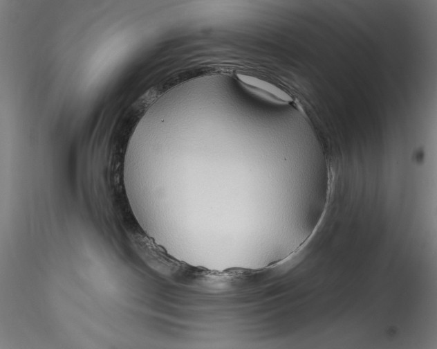 X0000115530190200911271355