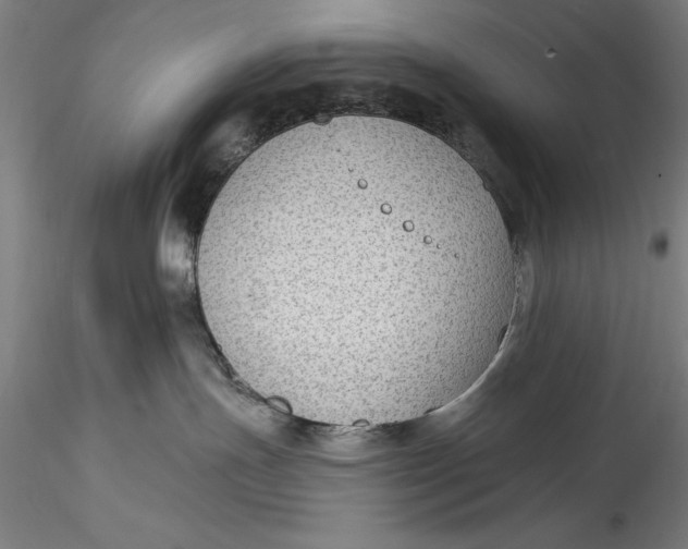 X0000115530191200911271355