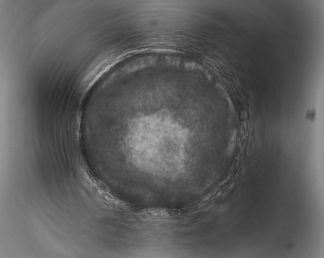 X0000115530194200911271354