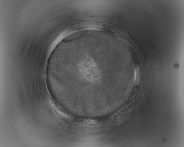 X0000115530195200911271354