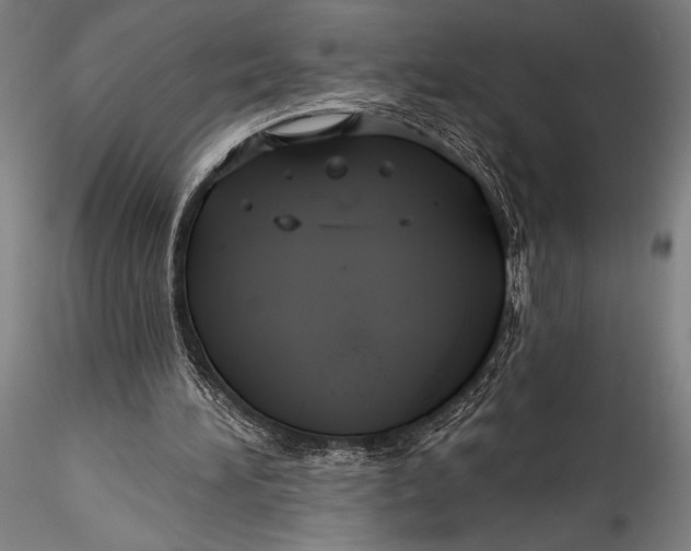 X0000115530196200911271354