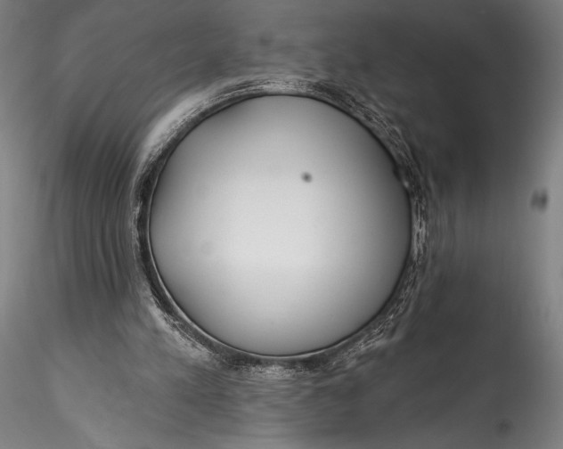 X0000115530197200911271354