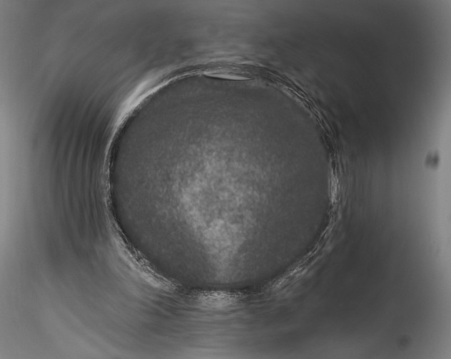 X0000115530198200911271354