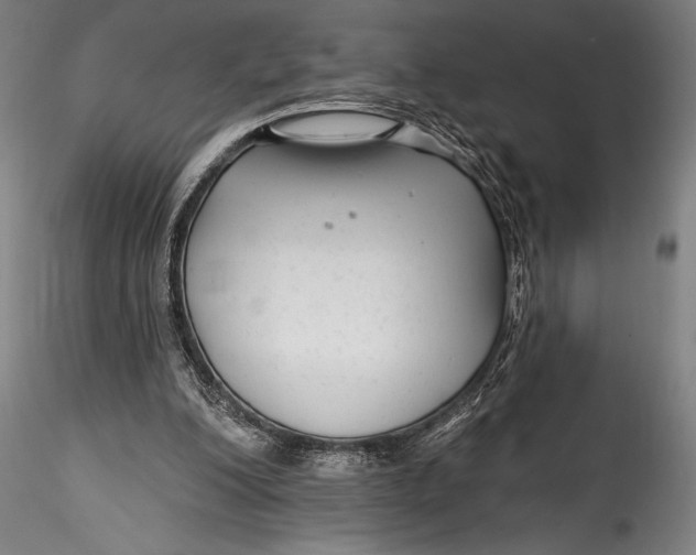 X0000115530200200911271354