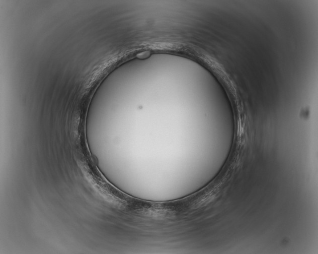 X0000115530201200911271354