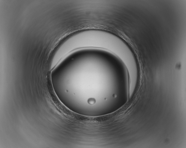 X0000115530203200911271354