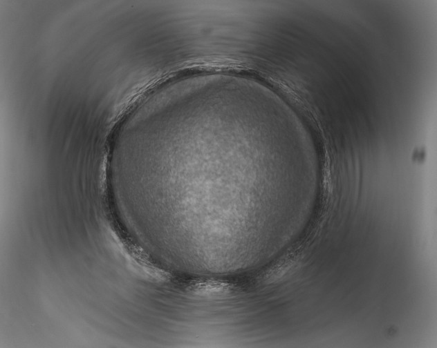 X0000115530206200911271354