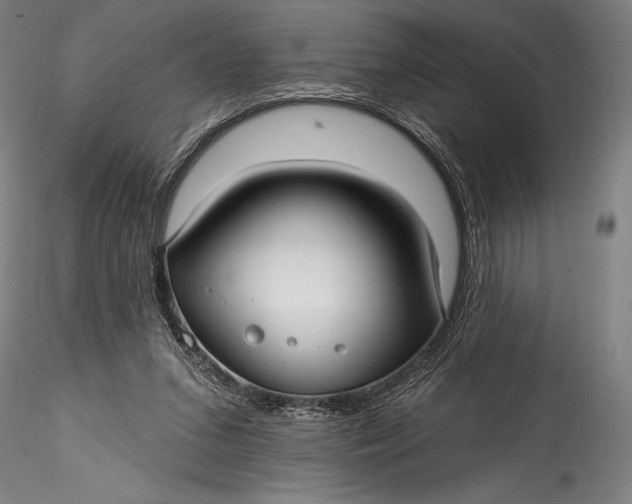 X0000115530207200911271354