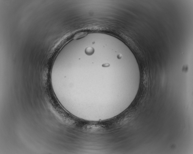 X0000115530208200911271354