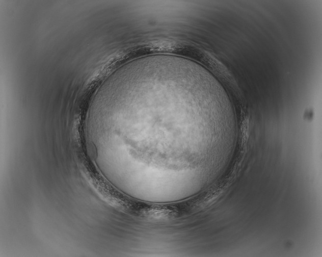 X0000115530209200911271354