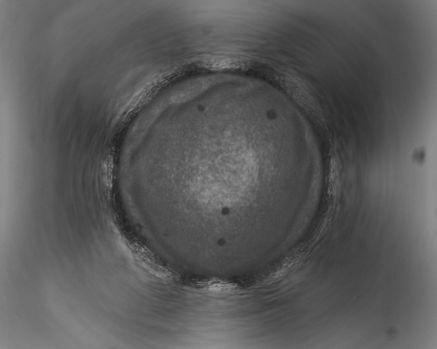 X0000115530210200911271354