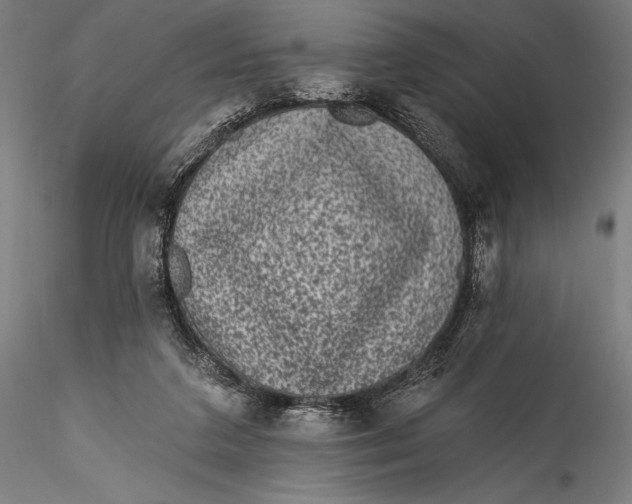 X0000115530211200911271354