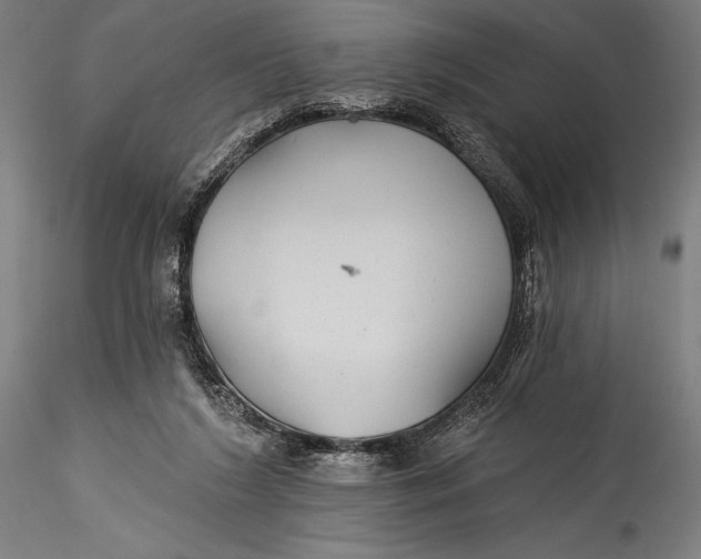 X0000115530212200911271354