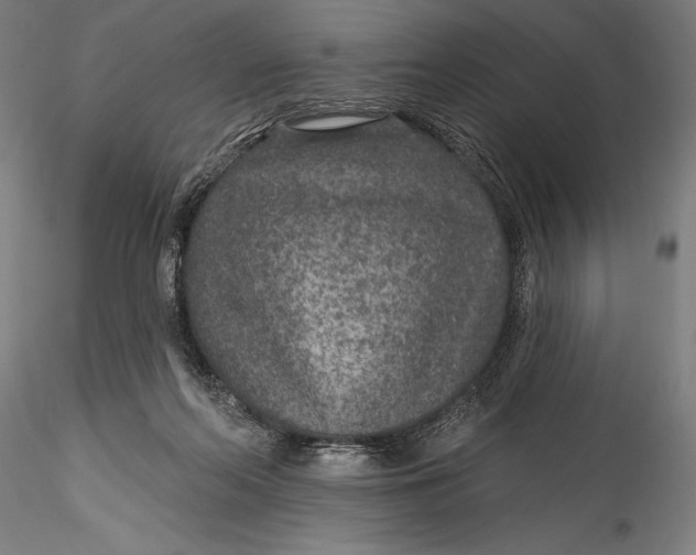 X0000115530214200911271354