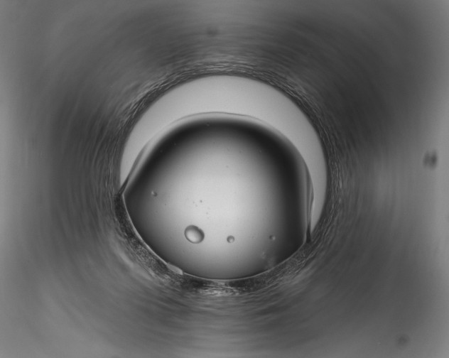 X0000115530215200911271354