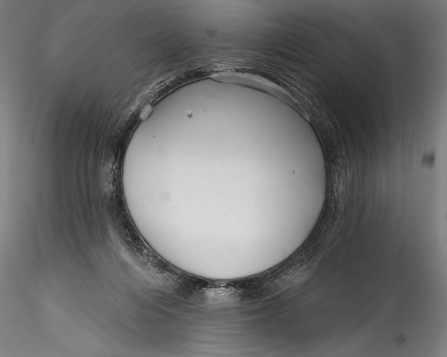 X0000115530216200911271354