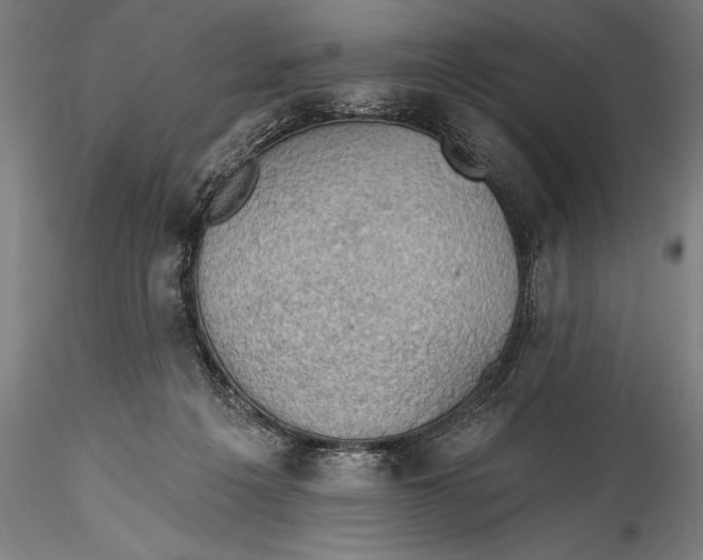 X0000115530217200911271354