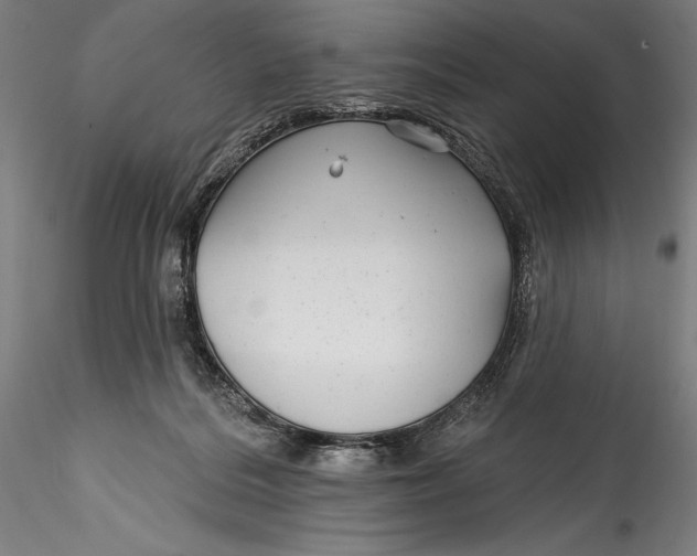 X0000115530220200911271354