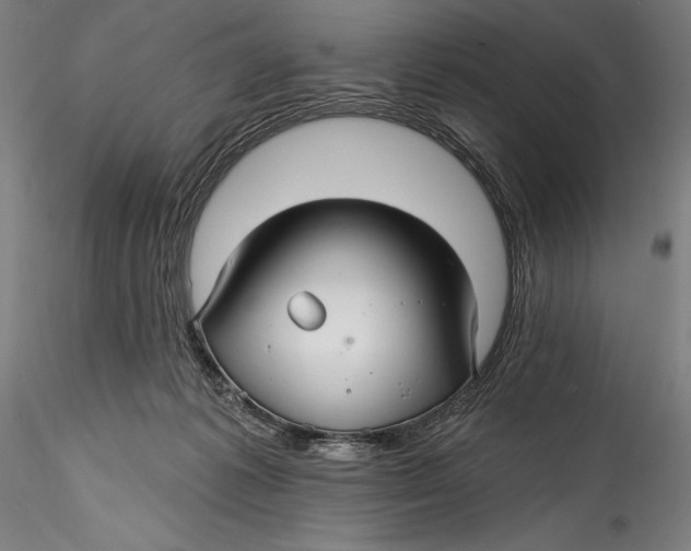 X0000115530221200911271354