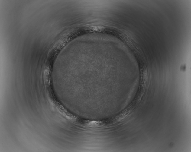 X0000115530222200911271354