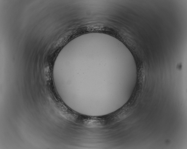 X0000115530224200911271354