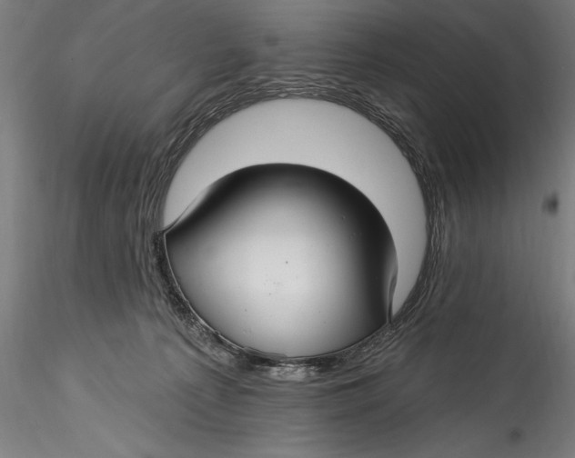 X0000115530225200911271354