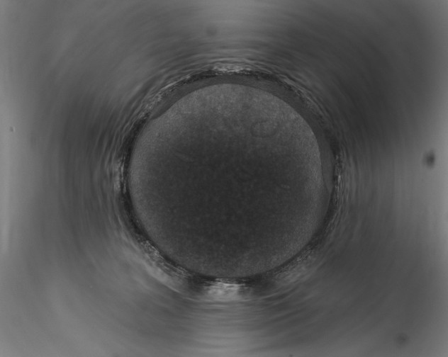 X0000115530227200911271354