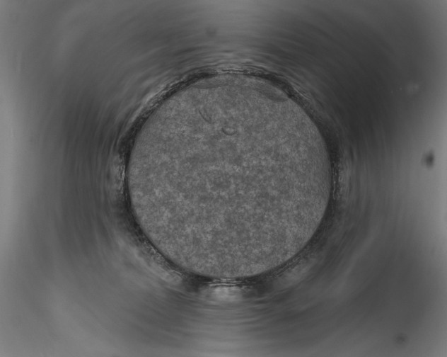 X0000115530228200911271354