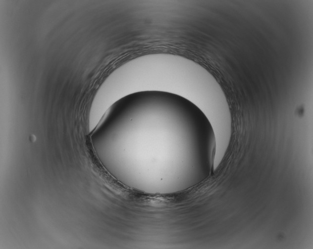 X0000115530229200911271354