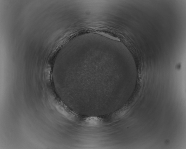 X0000115530231200911271354