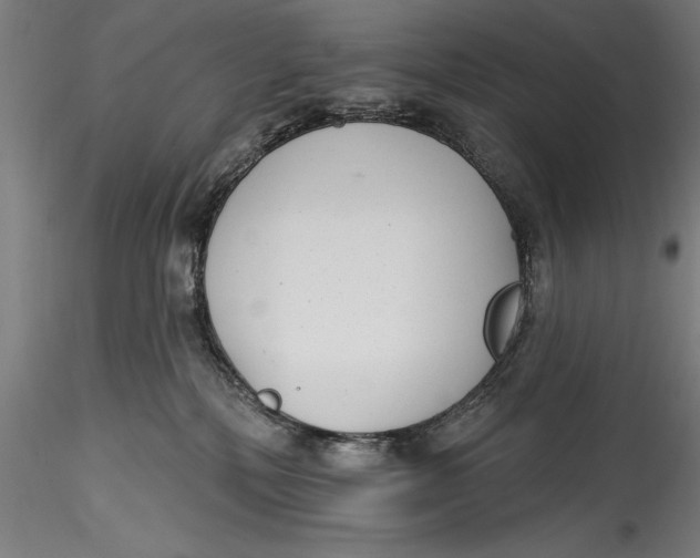 X0000115530232200911271354