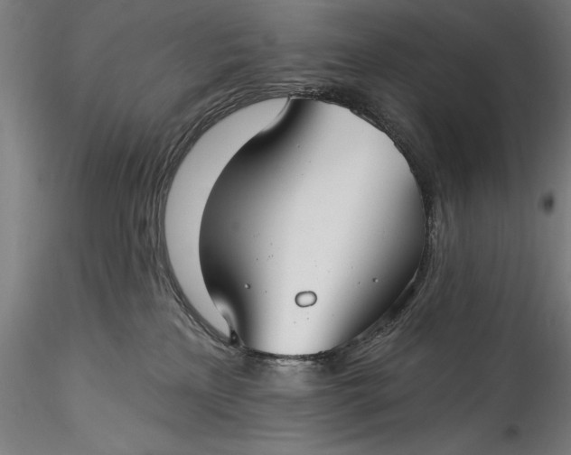 X0000115530233200911271354